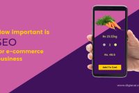 The Role Of SEO In Boosting E-Commerce Visibility