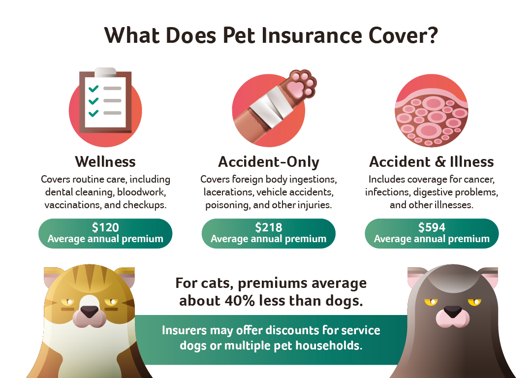 What Are The Benefits Of Pet Insurance For Pets
