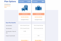 How To Choose The Right Travel Insurance Plan Made Easy