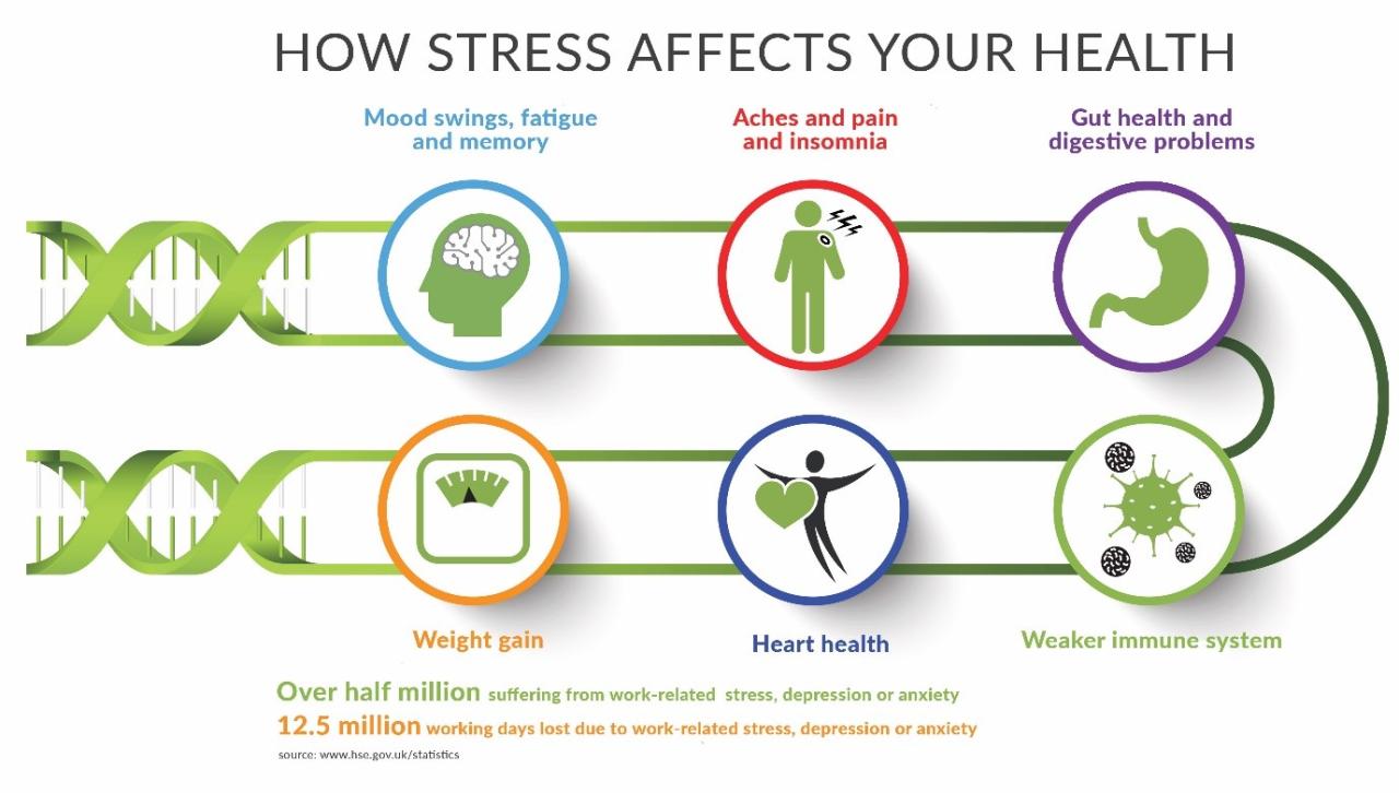 How Stress Affects Your Health | myDNAhealth Understanding The Link Between Stress And Health
