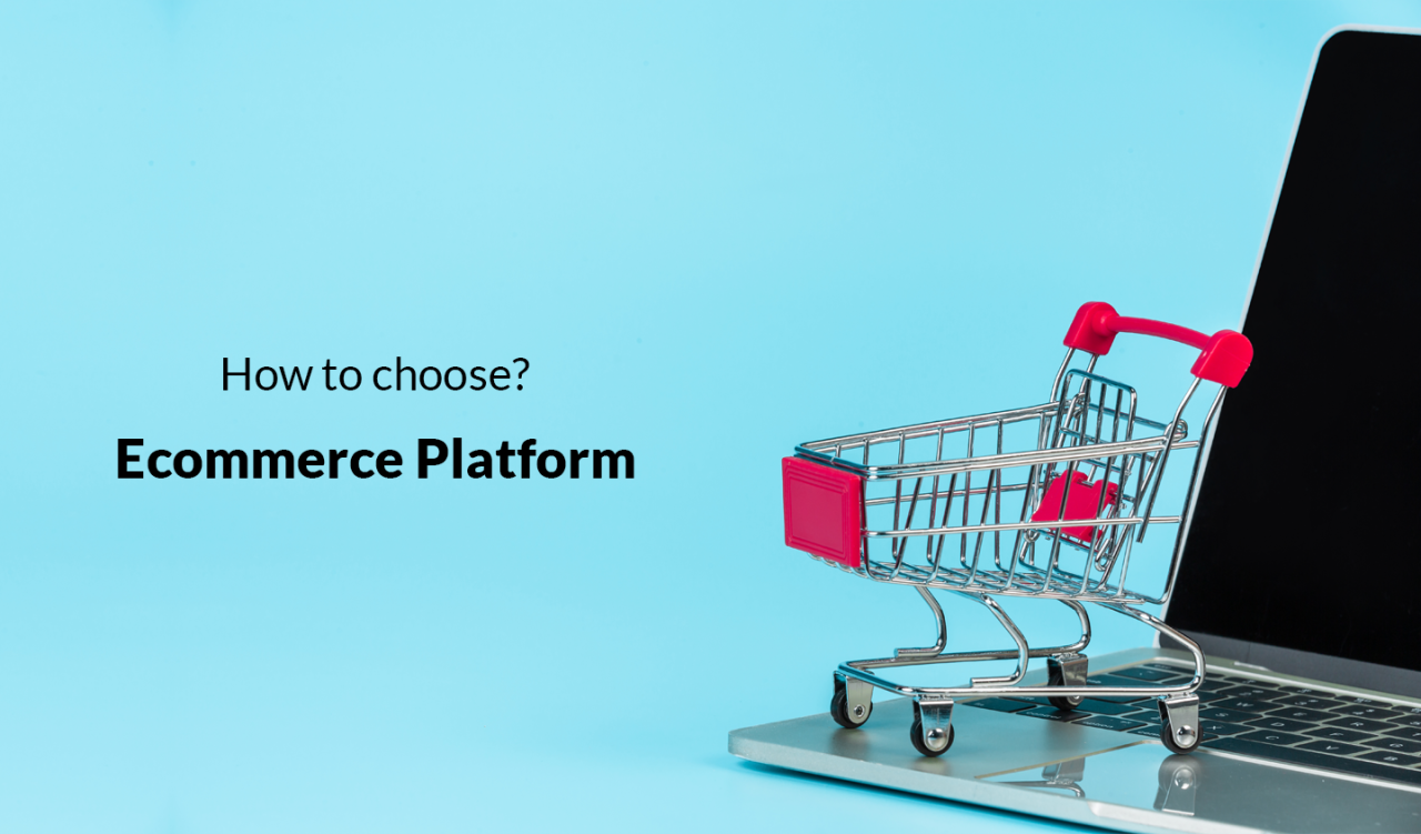 How To Choose The Right E-Commerce Platform