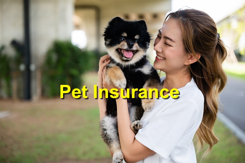 What Are The Benefits Of Pet Insurance For Pets
