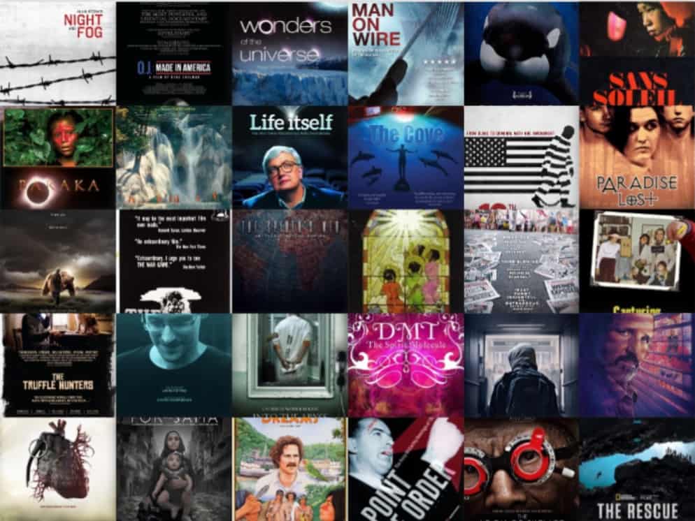 Best Documentaries That You Should Not Skip