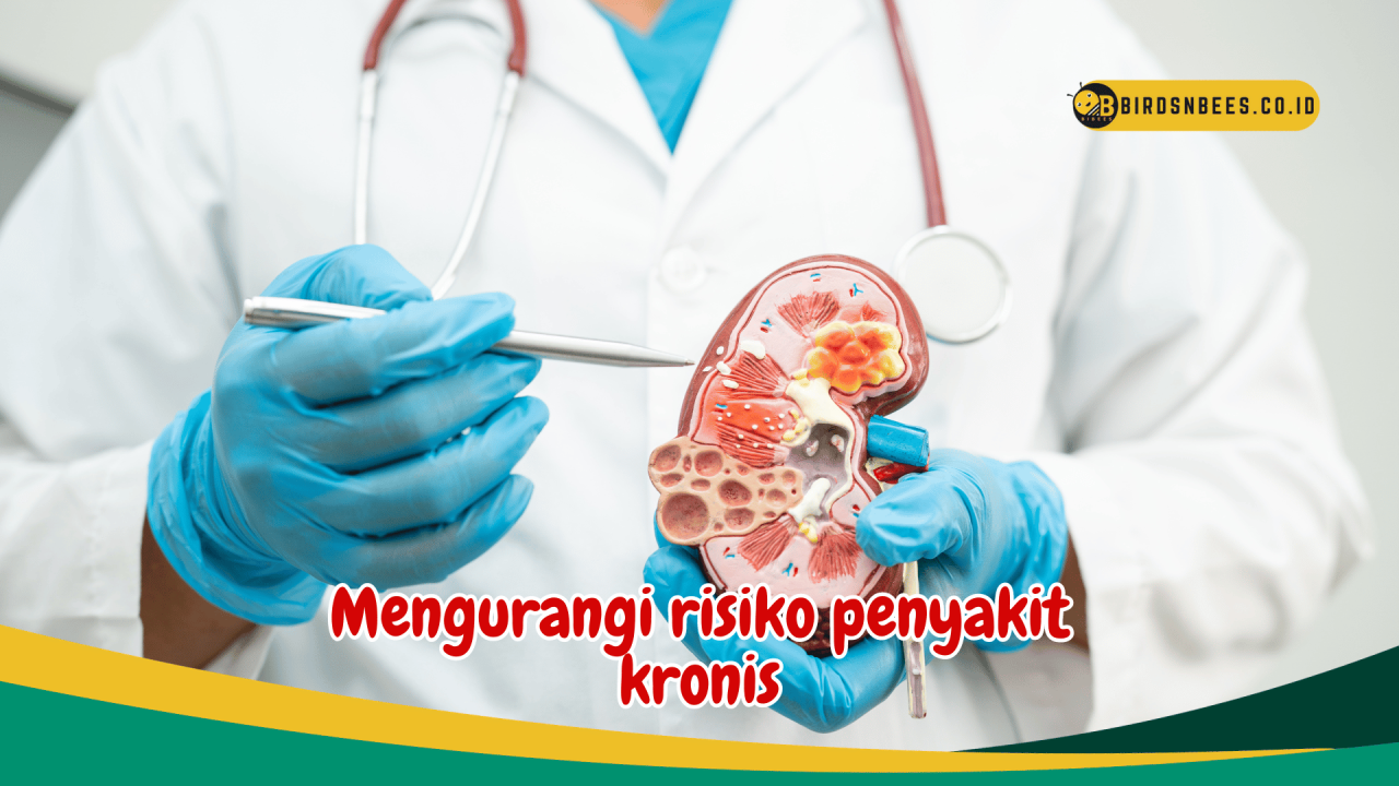 Cara Efektif Untuk Menurunkan Risiko Penyakit Kronis Di Usia Tua