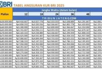 Cara Menghitung Cicilan Pinjaman Bulanan Dengan Mudah